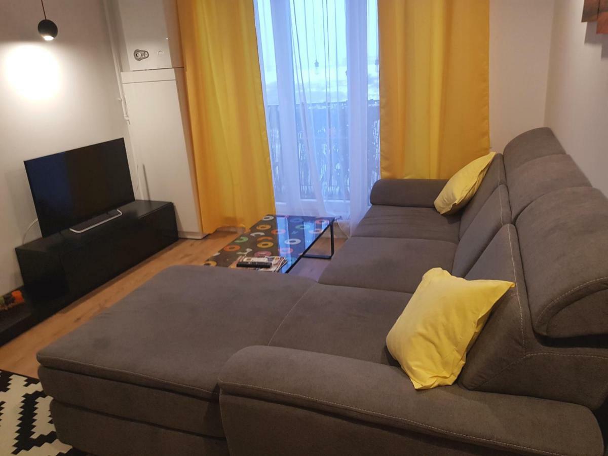 Luxury Apartment With Pool In North Bucharest Cretuleasca Kültér fotó