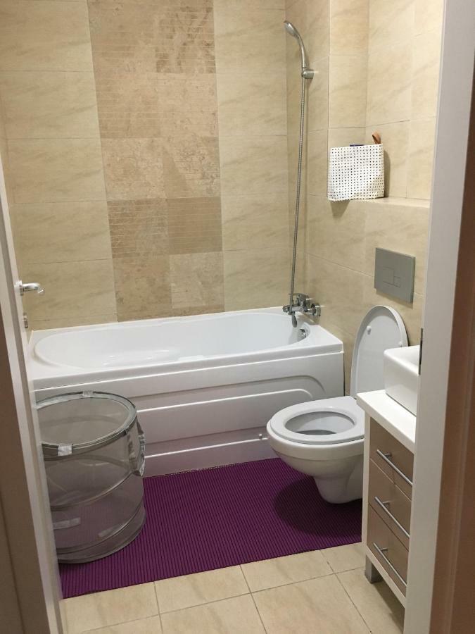 Luxury Apartment With Pool In North Bucharest Cretuleasca Kültér fotó